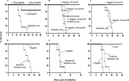 FIGURE 5. Flagellin protects mice against radiation by a TLR5/MyD88-mediated mechanism. Groups of mice (n = 5, C57BL/6 or indicated strain) were i.p. injected with flagellin as indicated before or preceding being exposed to 8 Gy γ-radiation. Survival was followed for 30-0 days. A, Mice were pretreated with indicated dose of flagellin 2 h before irradiation. B, Mice were given 50 μg flagellin 2 h preceding or indicated time following exposure to radiation. C, Mice were given 50 μg flagellin 2 h or 15 days preceding exposure to radiation. D, RAG1-KO mice were given 50 μg flagellin 2 h preceding exposure to radiation. E, MyD88KO mice were given 50 μg flagellin 2 h preceding exposure to radiation. F, TLR5KO mice were given 20 μg LPS or 50 μg flagellin 2 h preceding exposure to radiation.