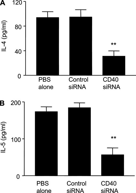 FIGURE 6. CD40 siRNA modulate cytokine production from splenocytes by stimulation of OVA. Mice were immunized and challenged with OVA after treatment of PBS alone, control siRNA, and CD40 siRNA. The levels of IL-4 and IL-5 production from splenocytes by stimulation of OVA were measured by ELISA. A, Level of IL-4 production is shown. **, p < 0.01 vs group of PBS alone or control siRNA. B, The level of IL-5 production is shown. **, p < 0.01 vs group of PBS alone or control siRNA.