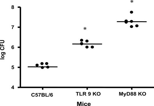 FIGURE 9. TLR9 is implicated in the control of B. abortus infection. The graph illustrates B. abortus CFU recovered from spleen of C57BL/6, MyD88 KO, and TLR9 KO after 2 wk of infection. Data are expressed as means ± SD of five animals per time point. These results are representative of two independent experiments. Significant differences in relation to wild-type are denoted by an asterisk (∗) for p < 0.05.