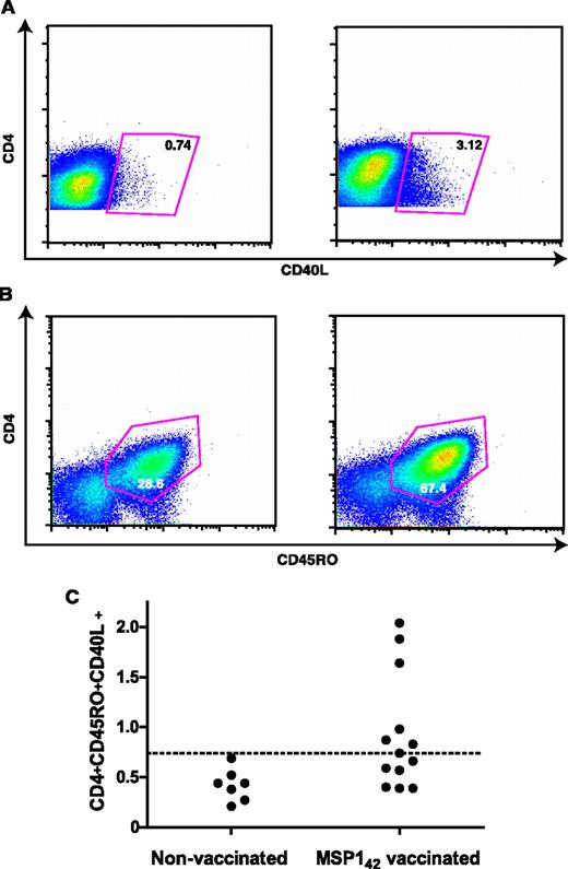 FIGURE 7. MSP142-specific memory T cells in vaccinated and nonvaccinated volunteers. A, Gating on cell population R2 from Fig. 6, CD4+CD154+ (CD40L) identifies MSP142-specific T cells. Only vaccinated volunteers had detectable Ag-specific T cells. Unpaired t test p < 0.01). B, The frequency of double positive CD4+CD45RO+ cell populations is also different from nonvaccinated volunteers, with 2-fold increase in MSP142/Alhydrogel-vaccinated volunteers. Data from representative samples in A and B of a nonvaccinated volunteer (left) and a vaccinated volunteer (right). Comparable results were obtained in two different experiments (n = 15). C, Expression of CD4+CD154+CD45RO+ as a percentage of R2 in samples from nonvaccinated (controls) and vaccinated volunteers; positivity (dashed horizontal line) was designated as the mean of the control volunteers plus two SDs.