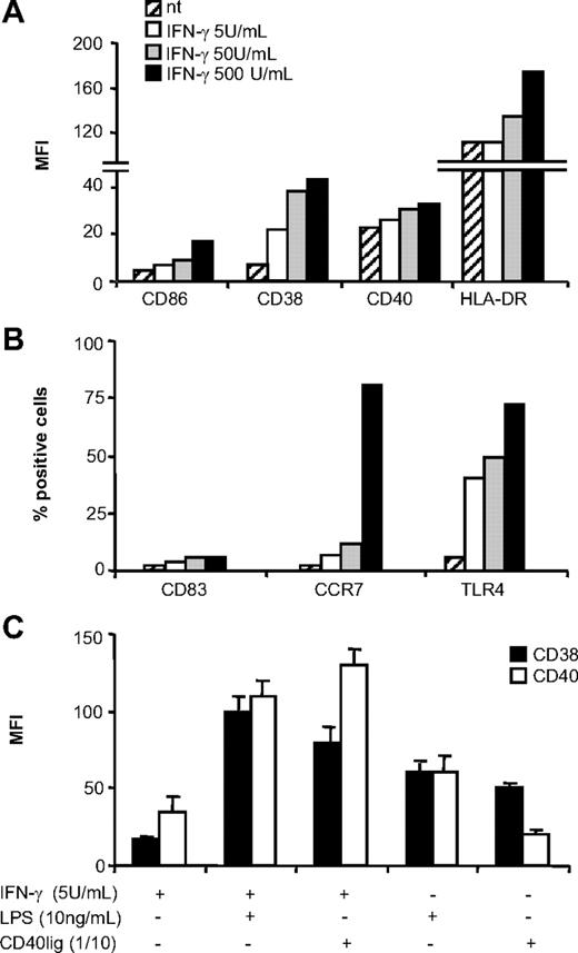 FIGURE 1. Dose response of maturation marker’s expression following IFN-γ stimulation. MDDC were either left nt or treated for 48 h in the presence of different doses of IFN-γ (A) and (B) and in combination with TLR4 (LPS) or CD40 (CD40lig) stimulation. Results are expressed as the mean ± SE of fluorescence intensity (MFI) (A) and (C) or percentage of positive cells (B). Results are from one of three independent experiments performed with different MDDC preparations.