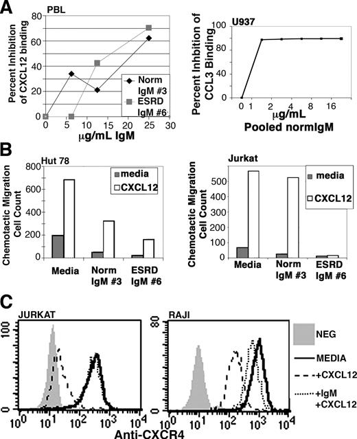 FIGURE 7. Effect of purified IgM on chemokine binding, chemotaxis, and CXCL12-induced CXCR4 down-regulation. A, Normal and ESRD IgM have a similar inhibitory effect on binding of biotin-labeled CXCL12 and CCL3 to cells. Cells (0.5 × 106 in 0.5 ml) obtained from monocytoid cell line (U937) or PBL activated for 3 days with PHA plus IL-2 were incubated with or without IgM (1–30 μg/L ×106 cells/ml) in PBS buffer containing CaCL2 at 37°C for 45 min, and without a wash step, cells were re-incubated at 37°C for 45 min with biotin-labeled cytokine (50 ng). Cells were then washed in the cold and stained with PE-streptavidin. These are representative examples from seven different experiments. In these experiments, MCF of CXCL12 binding to activated PBL was 193, whereas MCF of CCL3 binding to U937 was 600. MCF for negative controls was <10. ESRD IgM is more inhibitory to chemotaxis and chemokinesis when compared with normal IgM (B). Hut 78 or Jurkat cells were incubated with or without IgM (obtained from different individuals) at 37°C for 30 min before adding the cells, without a wash step, to the upper chamber of the chemotaxis Transwells. CXCL12 was added to the bottom wells. Data labeled media indicate baseline chemokinesis in the absence of CXCL12. Addition of CXCL12 to both the upper and lower wells completely inhibited chemotaxis (data not shown). These are representative examples from five separate experiments. Purified normal IgM (C) inhibits CXCL12-induced down-regulation of CXCR4. Details of assay are in Materials and Methods. 0.2 × 106 Jurkat and RAJI cells were either pretreated with CXCL12 (50 μg) or initially with purified normal IgM (3 μg) followed 30 min later with CXCL12 and then incubated at 37°C for 30 min before quantitating membrane CXCR4. In all panels, flow cytometry data were obtained from at least 10,000 events.