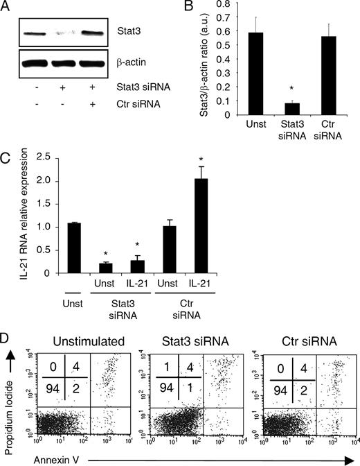 FIGURE 4. IL-21-mediated induction of IL-21 requires Stat3. A, Representative Western blots showing total Stat3 and β-actin in CD3+ PBL cultured in the presence or absence of a specific human Stat3 or control (Ctr) siRNA for 2 days. One of three representative Western blots is shown. B, Quantitative analysis of Stat3/β-actin protein ratio, as measured by densitometry scanning of Western blots. Values are expressed in arbitrary units (a.u.) and are the mean ± SD of three experiments. ∗, p < 0.01, Stat3 siRNA-treated cells vs untreated or control siRNA-treated cells. C, CD3+ PBL were cultured as indicated in A, then extensively washed and cultured with or without IL-21 for an additional 3 h. IL-21 RNA was then analyzed by real-time PCR. Data indicate mean ± SD of three separate experiments. ∗, p < 0.05, IL-21 in Stat3 siRNA-treated cells vs unstimulated; ∗, p < 0.01, IL-21 in Stat3 siRNA-treated cells vs IL-21 in control siRNA-treated cells. D, Representative flow cytometry dot plots showing AV- and/or PI-positive cells after culture in the presence or absence of a specific human Stat3 or control siRNA for 2 days. Numbers indicate the percentage of cells in the designated gates. One of four representative experiments is shown.
