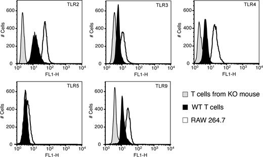 FIGURE 1. TLR expression on CD4+CD45Rbhigh CD4+ T cells. Expression of TLRs on CD4+CD45Rbhigh CD4+ T cells. Splenic CD4+CD45Rbhigh CD4+ T cells were examined for TLR2, TLR3, TLR4, TLR5, and TLR9 expression by flow cytometry (black peaks are CD4+CD45Rbhigh CD4+ T cells of WT mice, gray peaks are CD4+CD45Rbhigh CD4+ T cells from individual knock-out mice, and white peaks are RAW 264.7 cells). The isotype control Ab is used for TLR5 staining.