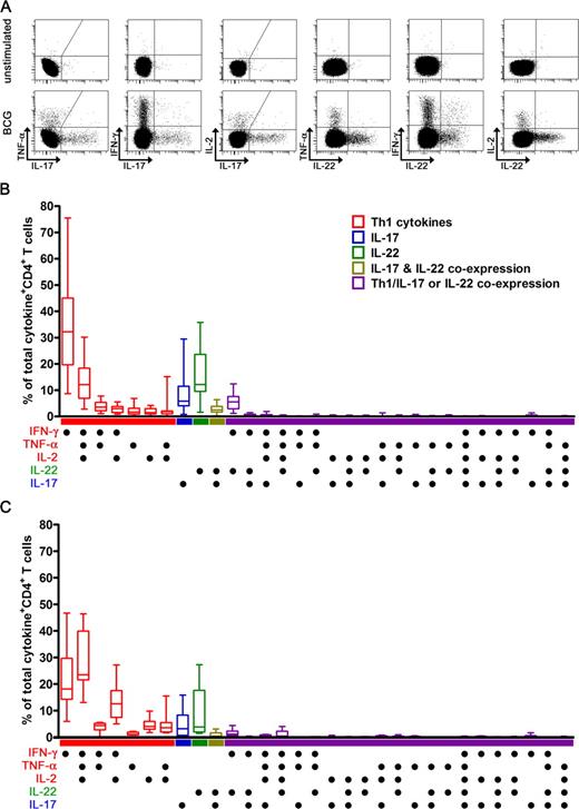 FIGURE 2. Mycobacteria-specific IL-17+ and IL-22+ CD4+ T cells are mostly distinct from Th1 cells. A, Flow cytometric detection of BCG-specific CD4+ T cell expression of IFN-γ, TNF-α, and IL-2 in combination with IL-17 and IL-22 in a single healthy mycobacteria-exposed adult. B and C, Patterns of single or combined expression of these five cytokines in CD4+ T cells when whole blood was incubated with BCG (B, n = 20) and PPD (C, n = 8). The median frequency, shown as a percentage of the total cytokine response, is represented by the horizontal line, the interquartile range by the box, and the range by the whiskers. For each pattern, in each individual, background values (unstimulated) were subtracted. Cells falling into the Th1 (IFN-γ, TNF-α, and/or IL-2) classification are in red, cells producing IL-17 exclusively are in blue, cells producing IL-22 exclusively are in green, cells coexpressing IL-17 and IL-22 are in olive, and cells coexpressing Th1 cytokines and IL-17 and/or IL-22 are in violet. Populations are shown ranked according to this classification and to frequency.