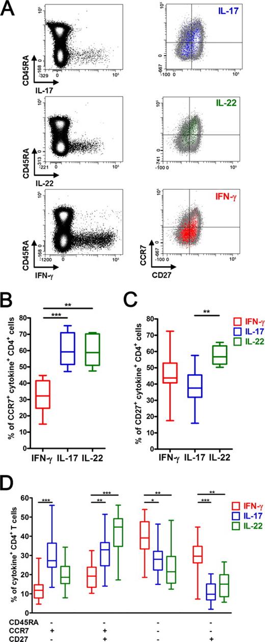 FIGURE 3. Mycobacteria-specific IL-17+ and IL-22+ CD4+ T cells display distinct phenotypes. A, Flow cytometric detection of expression of CD45RA on BCG-specific CD4+ T cells, defined by IL-17, IL-22, or IFN-γ expression, in a single healthy adult (left dotplots). The right dotplots show expression of CCR7 and CD27 of cytokine-producing, CD45RA− CD4+ T cells, shown in color. The gray background of each plot represents CCR7 and CD27 expression of the total CD45RA− CD4+ T cell population. B–D, Phenotypic marker expression on IL-17-, IL-22-, or IFN-γ-producing BCG-specific CD45RA−CD4+ T cells in healthy adults (n = 17 for IL-17 and IFN-γ; n = 9 for IL-22): CCR7 expression (B), CD27 expression (C), and all 3 phenotypic markers considered together (D). For each plot, the median is represented by the horizontal line, the interquartile range by the box, and the range by the whiskers. Differences between groups were assessed by the Kruskal-Wallis test with Dunn’s Multiple Comparison test. ∗, p < 0.05; ∗∗, p < 0.01; and ∗∗∗, p < 0.001.
