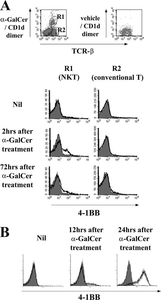 FIGURE 1. 4-1BB is expressed on CD1d-restricted NKT cells upon TCR stimulation. A, BALB/c mice were treated with 0.2 μg of α-GalCer i.p. Hepatic mononuclear cells were prepared from liver at 0, 2, and 72 h after the treatment. Cells were harvested and stained a with biotin-conjugated anti-4-1BB mAb (open histogram) or an isotype-matched Ab (filled histogram) followed by streptavidin-allophycocyanin. CD1d-restricted NKT cells and conventional T cells were gated on TCR-βint α-GalCer/CD1d dimer+ and TCR-β+ α-GalCer/CD1d dimer−, respectively (where “int” is intermediate). The expression of 4-1BB on the cells was analyzed by flow cytometry. B, DN32-D3, a NKT cell line, was cultured with α-GalCer or vehicle for the indicated times. Cells were harvested and stained with biotin-conjugated anti-4-1BB Ab (open histogram) or an isotype-matched Ab (filled histogram) and streptavidin-allophycocyanin sequentially.