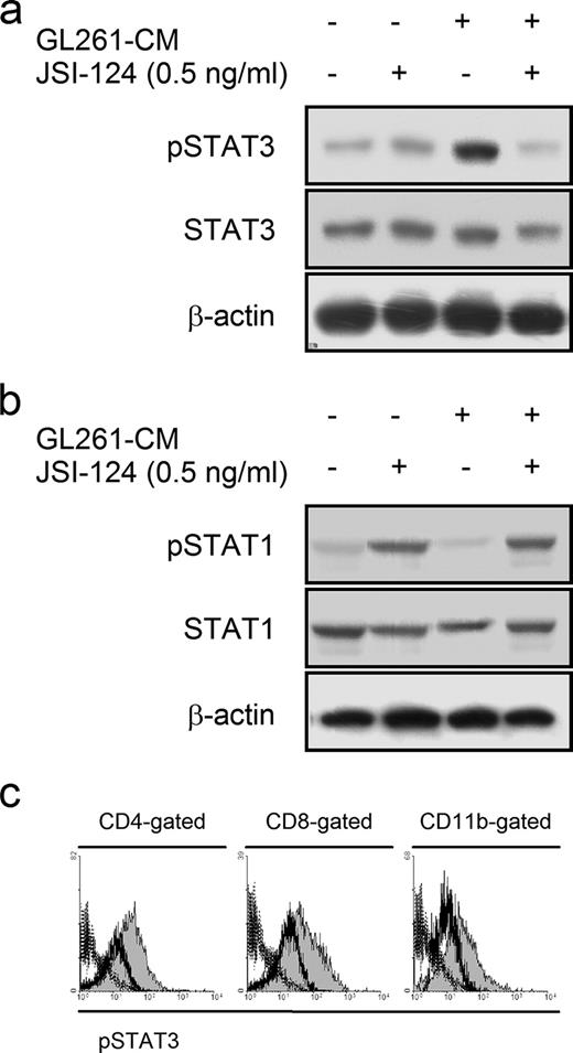 FIGURE 2. Soluble factors derived from GL261 glioma cells induce phosphorylation of STAT3 in immune cells, which is reversed by JSI-124. SPC freshly harvested from C57BL/6 mice were cultured for 24 h in GL261-CM and then incubated for 2 h (a) or 18h (b) in the presence or absence of 0.5 ng/ml JSI-124. a and b, Western blot analyses were performed to evaluate: pSTAT3 and the total STAT3 proteins (a); and pSTAT1 and the total STAT1 proteins in treated SPC (b). c, Flow cytometric analyses were performed with intracellular staining for pSTAT3 in CD4-, CD8-, or CD11b-gated populations of treated SPC. Open and shaded histograms represent cells treated with JSI-124 or control vehicles, respectively. Dashed lines represent control cells stained with isotype control IgG.