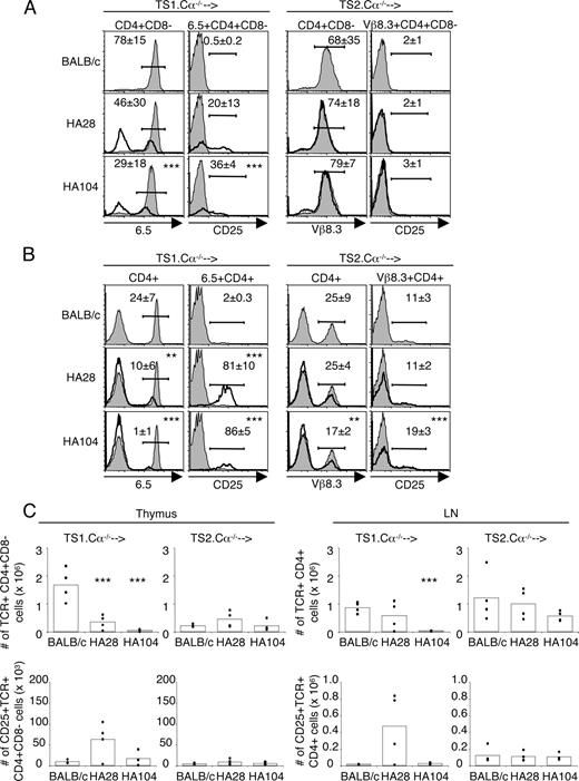 FIGURE 4. Individual T cell determinants from HA differ in their abilities to induce CD4+CD25+ Treg formation. BALB/c, HA28, or HA104 hosts were irradiated and reconstituted with T cell-depleted BM from TS1.Cα−/− or TS2.Cα−/− mice, and mice were harvested 2 mo later. Cell-surface markers were compared in BM chimeras from BALB/c, HA28, or HA104 mice reconstituted with either TS1.Cα−/− or TS2.Cα−/− BM as indicated. A, Histograms show expression of 6.5 or Vβ8.3 on CD4+CD8− thymocytes, and 6.5+CD4+CD8− or Vβ8.3+CD4+CD8− cells were then analyzed for CD25 expression. Thick lines show expression levels on cells from HA28 or HA104 recipients; shaded gray histograms denote BALB/c recipients. The percentages of cells in indicated gates are shown as average values ± SD (n = 4). Representative data obtained from two independent experiments are shown. B, Histograms show expression of 6.5 or Vβ8.3 on CD4+ lymphocytes. The 6.5+CD4+ or Vβ8.3+CD4+ cells were then analyzed for CD25 expression. Thick lines show expression levels on cells from HA28 or HA104 recipients; shaded gray histograms denote BALB/c recipients. The percentages of cells in indicated gates are shown as average values ± SD (n = 4). Representative data obtained from two independent experiments are shown. C, Bar graphs show average numbers of TCR-positive CD4+CD8− thymocytes (upper left), CD25+CD4+CD8− thymocytes (lower left), CD4+ LN cells (upper right), or CD25+CD4+ LN cells obtained from chimeras receiving either TS1.Cα−/− or TS2.Cα−/− BM with individual mice denoted as dots. ∗∗, p ≤ 0.05; ∗∗∗, p ≤ 0.01. Data are compiled from two independent experiments.