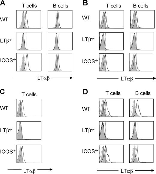 FIGURE 2. ICOS−/− T and B cells can express LTαβ in vitro. A, Splenocytes from naive WT, LTβ−/−, and ICOS−/− mice were stimulated overnight with PMA/ionomycin and analyzed for expression of LTαβ on CD4+ and B220+ cells. Histogram FACS plots depict the expression of LTαβ on stimulated T and B cells detected using a soluble receptor, LTβR-Ig (solid lines), against isotype controls (dashed histograms) and compared with unstimulated cells (shaded histograms). B, LTαβ expression on T and B cells stimulated with PMA/ionomycin as detected using anti-LTβ Ab (BBF6) (solid lines) using the same controls as in A. C, Expression of LTαβ on T cells stimulated with anti-CD3 compared with the same controls as in A. D, Splenocytes from WT, LTβ−/−, and ICOS−/− mice immunized with NP-KLH were obtained 12 days after immunization, restimulated with NP-KLH in culture overnight, and evaluated for LTαβ expression (solid line) compared with the same controls as in A. Data shown here are representative examples from a group of four mice, and the experiments were performed twice with similar results.