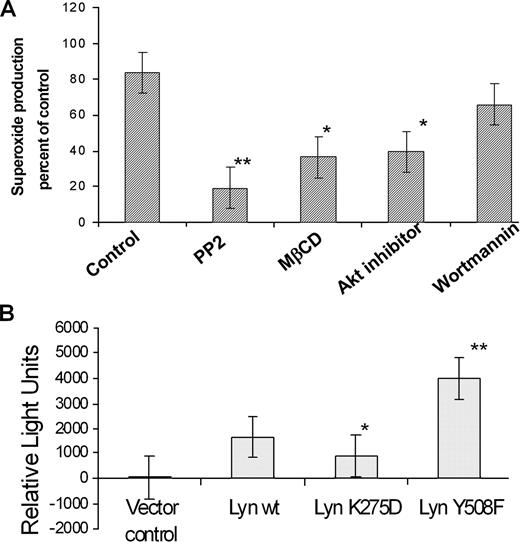 FIGURE 7. Superoxide production within phagosome depends on Lyn. A, PAO1 stimulates superoxide release, as shown by increase in NBT dye reduction. PP2 and raft inhibitors were added 30 min before infection with PAO1 (infection for 30 min). B, Luminol assay to measure overall reactive oxygen species inside cells. Transfection with Lyn DN construct was performed, and cells were infected with PAO1. Statistical analysis was done by comparing mean individual values vs controls using Student’s t test. ∗, p < 0.05 (95% CI), and ∗∗, p < 0.01 (99% CI). Both of the results are representative of three experiments.