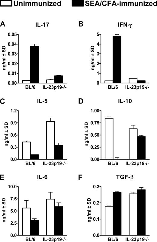 FIGURE 5. Cytokine production by SEA-stimulated GC from infected BL/6 and IL-23p19−/− mice. A–F, Cytokine levels in 48 h supernatants from SEA-stimulated GC were measured by ELISA. IL-17 (A) and IFN-γ (B) are significantly lower in SEA/CFA-immunized IL-23p19−/− vs BL/6 mice (both p < 0.001). IL-5 (C) and IL-10 (D) are reduced in both SEA/CFA-immunized groups but are significantly higher in the IL-23p19−/− mice (p < 0.05 and p < 0.01, respectively). IL-6 (E) is significantly higher in the SEA/CFA-immunized IL-23p19−/− vs BL/6 mice (p < 0.05). TGF-β (F) is not significantly different in both SEA/CFA-immunized mice. Cytokine levels are expressed as means of triplicate determinations ± SD; background cytokine levels from unstimulated GC were subtracted (except for TGF-β). Results shown are from one experiment representative of five.