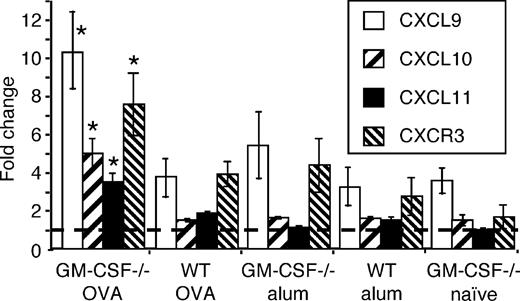 FIGURE 10. mRNA for IFN-γ-inducible chemokines and CXCR3 were increased in GM-CSF−/− mice. mRNA levels were determined by quantitative RT-PCR as in Fig. 4. Data are shown as mean ± SEM, n = 6. ∗, p < 0.05 compared with WT/OVA mice. The experiment shown is representative of two separate experiments.