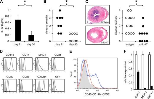 FIGURE 3. A, IL-17 production of heart-infiltrating T cells. A total of 105/ml infiltrating CD3+ cells were isolated from diseased hearts of wild-type mice, 21 or 30 days after MyHC-α immunization, and restimulated with anti-CD3/-CD28 for 24 h. IL-17 was measured in supernatants using commercially available ELISA kits. Bars represent mean ± SD from four experiments with T cells pooled from three vs three individual hearts. ∗, p = 0.0071. B, Disease severity scores of individual, MyHC-α/CFA-immunized wild-type mice at days 21 and 30; ∗, p = 0.0023. C, Anti-IL-17 treatment reduces myocarditis severity in MyHC-α/CFA-immunized wild-type mice. Mice were immunized with 150 μg of MyHC-α/CFA and injected with either 50 μg of anti-mouse IL-17 or isotype Ab every second day. Mice were sacrificed on day 21. Individual disease scores (∗, p = 0.0092), and H&E-stained sections, ×25 original magnification are shown. D, Surface molecule expression patterns of bone marrow-derived CD11b+ monocytes representing an immature population. E, Anti-IL-17 treatment blocks recruitment of CFSE-labeled CD45+CD11b+ cells to the heart. Heart-infiltrating cells were isolated at day 15 from immunized wild-type mice injected with CFSE-labeled wild-type CD11b+ monocytes, 24 h after either anti-IL-17 injection (red line) or isotype Ab injection (blue line). The gray area represents CD45+CD11b+ cells of untreated immunized wild-type mice injected with unlabeled wild-type CD11b+ cells. The histogram is gated on CD11b and CD45 expressing cells. F, Anti-IL-17 treatment suppresses SDF-1, MCP-1, and MIP-1α expression in heart tissues of immunized wild-type mice. Relative expression of SDF-1, MCP-1, and MIP-1α mRNA in hearts of immunized and anti-IL-17 (▪) vs isotype (□) treated control mice are shown.