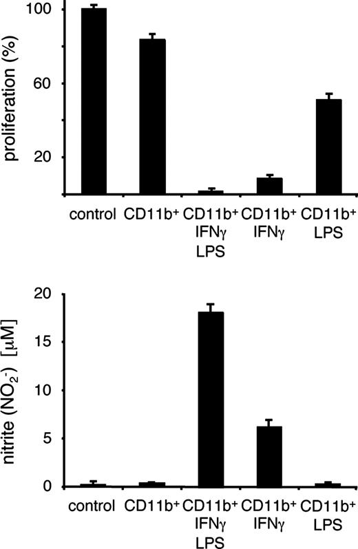 FIGURE 6. IFN-γ enhances NO release from CD11b+ monocytes mediating Th17 T cell suppression. MyHC-α-specific Th17 T cell lines were restimulated on irradiated, MyHC-α-pulsed APC in the presence or absence of 2.5 × 103 CD11b+ monocytes together with either 5 ng/ml of recombinant mouse IFN-γ, 0.1 μg/ml LPS, or IFN-γ/LPS. Proliferation responses are expressed as percentages (mean ± SD from five culture wells) compared with an average standard value representing proliferation of CD4+ T cells on APC only. Nitrite (NO⨪2) levels reflecting NO production in culture supernatants were assessed using a colorimetric assay based on the Griess reaction. Mean ± SD values from five culture wells of one of two representative experiments are shown.
