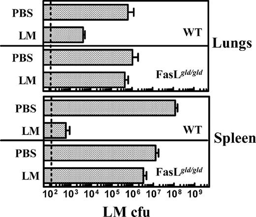 FIGURE 10. Long-term protection in response to rechallenge of mice with a lethal dose of LM is lost in FasL mutant mice. WT and FasL mutant mice were infected with LM (1 × 103, i.v.). On day 80, mice were rechallenged with LM (1 × 105, i.v.), and the burden of LM was evaluated in lungs and spleen 3 days post rechallenge.
