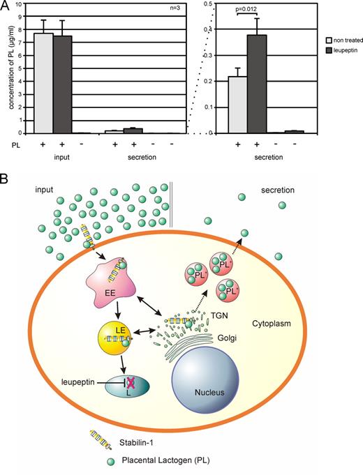 Alternatively Activated Macrophages Regulate Extracellular Levels of