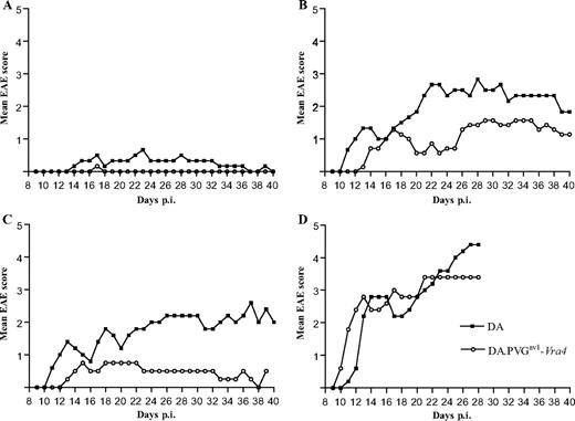 FIGURE 7. Mean EAE score in male and female DA and DA.PVGav1-Vra4-congenic rats upon immunization with rMOG at different doses. A, Males, 60 μg of rMOG; B, males, 80 μg of rMOG; C, females, 60 μg of rMOG; and D, females, 80 μg of rMOG. p.i., Postimmunization.