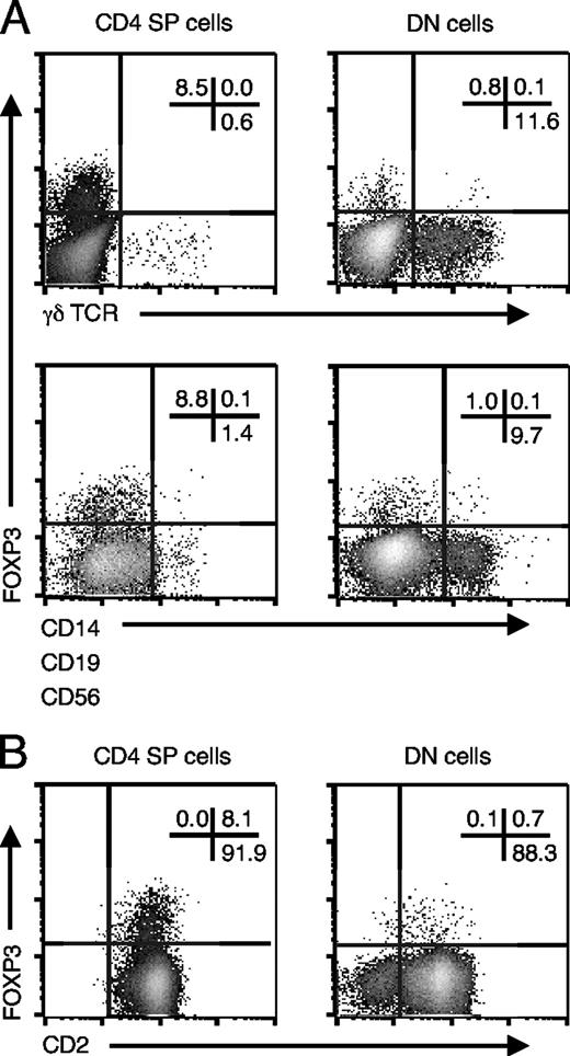 FIGURE 2. Double-negative FOXP3+ thymocytes belong to the T cell lineage. Shown is a a four-color flow cytometric analysis of FOXP3 and γδ TCR or markers expressed by monocytes, B cells, or NK cells (A) and the early T/NK cell marker CD2 (B) in CD4 SP and DN thymocytes. The frequency of cells in each of the quadrant areas is indicated. The figure shows a representative example of six independent experiments.