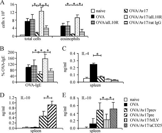 FIGURE 6. Suppression of allergic responses by filarial cystatin is dependent on IL-10. Mice were sensitized with OVA and treated three times with cystatin (20 μg/ml) and with anti-IL-10R Abs (three times 500 μg per animal) after sensitization and before challenge with OVA (prechallenge model). A, Total cell numbers and eosinophil numbers; B, levels of OVA-specific serum IgE; C, OVA-specific IL-4 production of spleen cells; D, IL-10 production of spleen cells after stimulation with Av17 in the preventive and prechallenge model; E, IL-10 production in response to Av17 stimulation in spleen cells after depletion of macrophages or Tregs (preventive model). Naive indicates PBS-treated mice; OVA, OVA-treated mice; OVA/aIL-10R, mice treated with OVA and anti-IL-10 receptor Abs; OVA/Av17prev, OVA and filarial cystatin (Av17)-treated mice (preventive model); OVA/Av17 pre, OVA and filarial cystatin (Av17)-treated mice (prechallenge model); OVA/Av17/aIL-10R, mice treated with OVA, Av17, and anti-IL-10 receptor Abs (prechallenge model); OVA/Av17/rat IgG, mice treated with OVA, Av17, and isotype-matched control Abs (prechallenge model); OVA/Av17/MLV, OVA and Av17-treated mice in which macrophages were depleted (preventive model); OVA/Av17/aCD25, OVA and Av17-treated mice in which Treg cells were depleted (preventive model). Representative data of two individual experiments with 6 animals per group are shown in A–C; representative data of three individual experiments with 4–6 animals are shown for 6D and E; to directly compare IgE values, we expressed data in percentages (OVA group is 100%); *, p < 0.05.