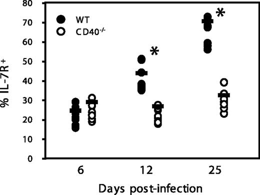 FIGURE 3. Reduced numbers of IL-7R+ P-14 T cells in CD40−/− hosts. WT and CD40−/− mice were adoptively transferred with CFSE-labeled CD45.1+ P-14 T cells and infected with 5 × 104 LCMV Armstrong strain i.p. 1 day later. The mice were bled at the indicated time points and stained with Ab against CD8, CD45.1, and IL-7R. The percentage of IL-7R+ P-14 T cells is shown. Each circle represents an individual mouse; the bars represent the means. The results shown are representative of three independent experiments with 5–10 mice/group. ∗, p < 0.00001.