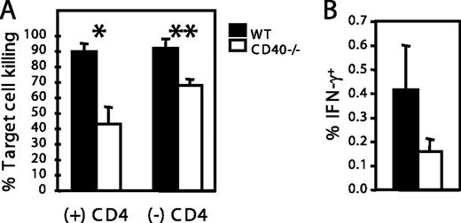 FIGURE 6. CD8+ T cell memory induced upon immunization with WT or CD40−/− peptide-pulsed DCs. WT or CD4+ T cell-depleted mice were immunized i.v. with 1 × 106 DC from WT or CD40−/− mice that were pulsed with OVA peptide. After at least 6 wk, the mice were challenged with OVA peptide-pulsed WT DCs injected i.v. A, On day 4 postchallenge, mice were injected with target cells for an in vivo CTL assay. The percentage of target cell killing is shown. B, Spleens were harvested 4 days after challenge and stimulated in vitro with OVA peptide in the presence of brefeldin A and IL-2. The percentage of IFN-γ-producing cells in the total CD8+ T cell population is shown. The results shown are representative of three independent experiments with two to three mice per group. ∗, p = 0.003; ∗∗, p = 0.01.