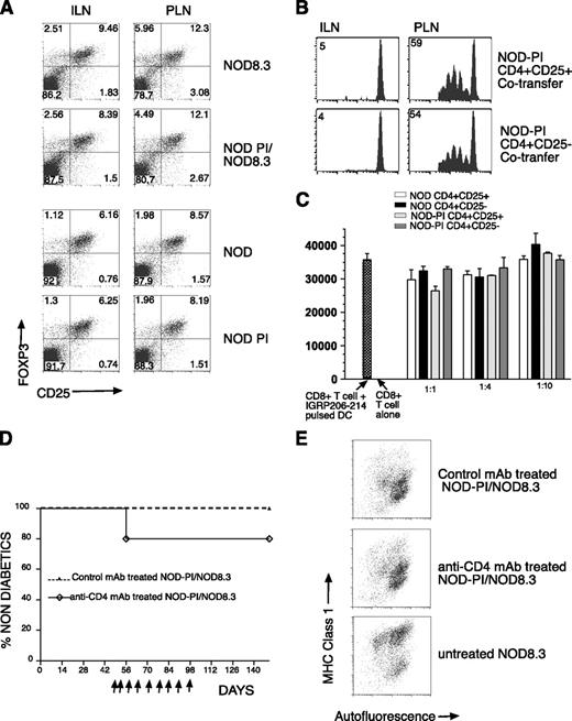FIGURE 3. No evidence of dominant tolerance to account for protection from diabetes in NOD-PI/NOD8.3 mice. A, Flow cytometric analysis of intracellular Foxp3 (anti-Foxp3 mAb FJK-16s) expression in CD4+CD8− cells. The percentages of CD4+CD8− cells in each region is shown. B, Proliferation of CFSE-labeled 8.3 T cells when injected i.v. (4–6 × 106 cells/mouse) with CD4+CD25+ or CD4+CD25− cells (4–6 × 106 cells/mouse) from NOD-PI mice into 8-wk-old NOD mice (n = 4 per group). C, Proliferation of 8.3 T cells in response to IGRP206–214-peptide pulsed irradiated NOD DC when cultured with CD4+CD25− or CD4+CD25+ T cells from NOD or NOD-PI mice. D, Diabetes incidence in NOD-PI/NOD8.3 mice treated with GK1.5 (anti-CD4) mAb (n = 5) or isotype control Ab (n = 5). Arrows indicate the time of administration of Ab P = ns. E, Islets from anti-CD4 mAb or isotype control Ab-treated NOD-PI/NOD8.3 or untreated NOD8.3 mice were analyzed for expression of class I MHC expression using anti-mouse H-2Db.