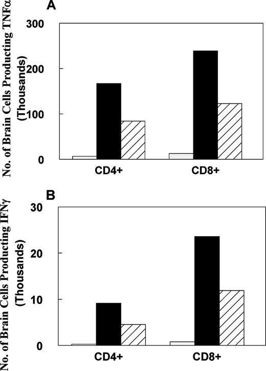 FIGURE 5. Cytokine production from CNS leukocytes. CNS was perfused with saline and lymphocytes were isolated as described in Materials and Methods. Bar graphs show the CD4+ or CD8+ T cell cytokine production in normal mice (▦), MOG-immunized mice (▪), or MOG-immunized and NK1.1-depleted mice (▨). Values represent the total number of CD4+ or CD8+ T cells in the CNS isolate that are producing either TNF-α (A) or IFN-γ (B). Values are pools of three to five mice per treatment.
