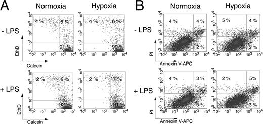 FIGURE 1. Viability of DC under hypoxic conditions. A, DC were generated from bone marrow progenitors. Immature DC were subjected to hypoxia (1% oxygen) and normoxia for 24 h and stimulated with 10 ng/ml LPS, if indicated. Viability was determined using a viability/cytotoxicity kit. DC were stained with calcein AM for viable cells and ethidium homodimer 1 for dead cells, and analyzed by flow cytometry. B, Apoptotic and necrotic effects were determined by FACS using annexin-allophycocyanin and PI-specific stainings.