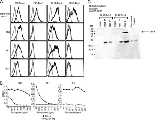 FIGURE 1. Anti-Tim-4 mAbs specifically bind Tim-4. A, HEK 293 and CHO cells stably transfected with Tim-4 or Tim-1 were stained with three anti-Tim-4 mAbs and analyzed by flow cytometry. Staining with an anti-HA-tag mAb was used to control for Tim-4 expression and an anti-Tim-1 mAb was used to control for Tim-1 expression. All histograms represent specific staining (black) vs isotype control (gray). B, Binding of anti-Tim-4 mAbs was tested on Tim-4.Ig or human CTLA-4.Ig-coated ELISA plates. C, Tim-4 was precipitated from CHO-Tim-4 vs CHO-Tim-3 lysates with anti-Tim-4 (5G3) or isotype control (rIgG1) and detected by Western blot. Cell lysates were deglycosylated by prior treatment with β (1 2 3 4 ) galactosidase and β-N-acetylglucosaminidase.