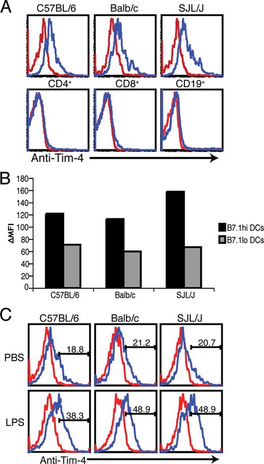 FIGURE 2. Tim-4 is preferentially expressed ex vivo on mature APCs. A, Collagenase D-treated splenocytes from the indicated mouse strains were stained with CD11c-allophycocyanin, CD11b-FITC, RPE-conjugated anti-Tim-4 clone 5G3, and relevant isotype controls. CD11c+CD11b+ cells were gated in the upper panels. CD4+, CD8+, and CD19+ SJL splenocytes were gated as indicated in the lower panels. B, Splenocytes from A were stained with CD11c-allophycocyanin, B7.1-FITC or B7.2-FITC (data not shown), and 5G3 RPE, and gated on CD11c+B7high/low cells. The differences between the mean fluorescence intensity (MFI) of the isotype control and anti-Tim-4 staining are shown as ΔMFI. C, C57BL/6, BALB/c, and SJL/J mice were injected with either 40 μg LPS or PBS (volume control) i.p. and sacrificed 24 h later. Splenocytes were treated and stained as in A; the percentage of Tim-4+ CD11c−CD11b+ cells is indicated in each histogram.