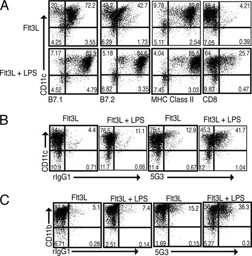 FIGURE 3. Tim-4 expression is up-regulated on activated CD11c+ and CD11b+ BM-derived cells. A, SJL/J mice were used to generate DCs in the presence of Flt3L and LPS was added to an aliquot of purified cells. At 12–14 h later, the cells were stained with CD11c-allophycocyanin, B7.1-PE, B7.2-PE, MHC class II-PE, and CD8-PE and analyzed by flow cytometry. Tim-4 expression on these cells was determined by anti-Tim-4 5G3 or 3A1 staining (data not shown), and detected by goat anti-rat IgG1-FITC. Tim-4 expression on CD11c+ cells is shown in B and on CD11b+ cells in C.