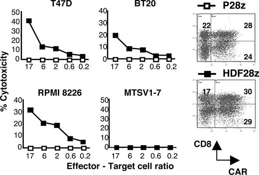 FIGURE 6. MUC1 retargeted tumor cell cytotoxicity. CAR+ T cells were established in a 4-h CTL assay with indicated MUC1+ tumor cell targets (T47D, BT20, and RPMI 8226) or a nontransformed breast epithelial cell line (MTSV1–7). Dot plots demonstrate CAR expression detected using PE-conjugated anti-mIgG (P28z) or biotinylated MUC1 24-mer peptide plus streptavidin-PE (HDF28z). P28z, Irrelevant Ag control.