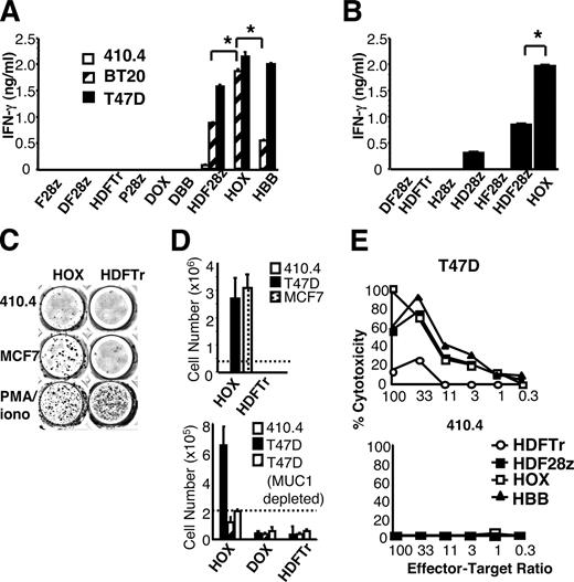 FIGURE 8. Functional comparison of third generation MUC1-specific CAR. A, CAR+ T cells (5 × 105/ml) were cocultivated in a 24-well dish with a confluent well of indicated tumor cells for 72h. Supernatants were analyzed for IFN-γ. To correct for small differences in gene transfer, data were normalized as described in Fig. 5D (∗, p < 0.01). B, Similar to A except that MCF7 tumor cells were used (∗, p < 0.01). C, CM was prepared from the MCF7 (MUC1+) and 410.4 (MUC1−) cell lines. CAR+ T cells were cultured in 50% CM/50% T cell medium for 72 h (PMA/ionomycin was the positive control). IL-17 production was demonstrated by ELISPOT. D, CAR+ T cells were plated in 50% T cell medium plus 50% indicated tumor CM (depleted of MUC1 where indicated). Dotted lines indicate input cell number. Columns represent cell number after 8 days. E, CAR+ T cells were incubated in a 4-h CTL assay with T47D or 410.4 target cells.