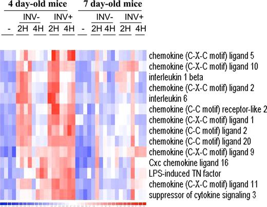 FIGURE 2. Modulation of proinflammatory genes during infection of newborn mice with Shigella. Hierarchical clustering of proinflammatory genes was performed using dChip software with euclidian distance and average as a linkage method. Before clustering, expression values for one gene across all samples were standardized to produce a mean of zero. Increased or decreased values were then ranged compared with that mean. Red and blue colors represent expression upper and above the mean value expression, respectively.