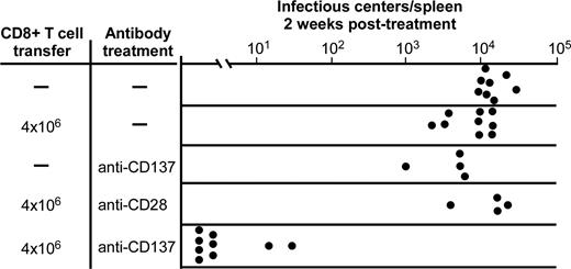 FIGURE 4. Reduction of chronic infection in mice treated with anti-CD137 and virus-specific CD8+ T cells. Eleven million spleen cells from each mouse were assayed for infectious virus by an infectious center assay. Each dot represents results from a single mouse. The mice treated with both anti-CD137 and virus-specific CD8+ T cells had significantly lower infectious centers per spleen than mice treated with cells only (p < 0.0001). Spleen weights indicated significantly less FV-induced splenomegaly in the mice receiving dual therapy (mean = 218 mg) compared with mice receiving CD8+ T cells without anti-CD137 (mean = 305 mg, p = 0.0011). The untreated control and anti-CD137 plus CD8+ T cell adoptive transfer groups contain results from two separate experiments.