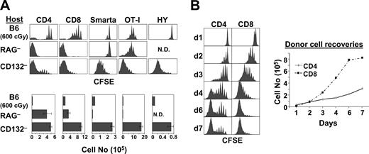 FIGURE 1. Naive T cells undergo strong expansion in CD132− hosts. A, Rapid proliferation applies to both polyclonal and TCR-TG T cells. Purified naive T cells from LN of B6.PL (Thy-1.1+) and the indicated TG mice on a Thy-1.1+ RAG− background were CFSE labeled and transferred at low doses (1 × 106/mouse except for 3 × 105 for HY) by i.v. injection into irradiated (600 cGy) B6, and unirradiated RAG− and CD132− hosts. CFSE profiles of donor cells in host spleen were analyzed 7 days later by flow cytometry after staining for Thy-1.1, CD8, and CD4. The histograms display the CFSE profiles on gated donor T cells, and the bar graphs show the total donor T cell recovery from each types of host analyzed individually. These results are representative of at least two to four independent experiments. B, Strong proliferation applies to a diverse repertoire of T cells. Purified LN T cells from B6.PL mice were CFSE-labeled and transferred at 1 × 106/mouse into a group of CD132− hosts. CFSE profiles on donor T cells in host spleen were analyzed on sequential days for 7 days as described in A. The graph shows the total recoveries of donor T cells.