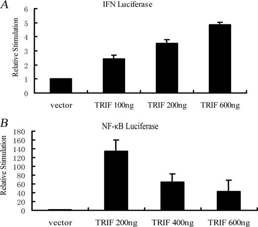 FIGURE 3. Zebrafish TRIF overexpression activated IFN promoter and NF-κB response promoter. A, HEK293T cells were cotransfected pcDNA3.0 empty vector or increasing amounts (100 ng, 200 ng, and 600 ng) of expression vector for TRIF gene together with the IFN promoter luciferase reporter vector (200 ng) vs control β-galactosidase expression vector. B, TRIF expression vector (200 ng, 400 ng, and 600 ng) or empty vector was cotransfected with the NF-κB luciferase reporter vector (200 ng) vs control β-galactosidase expression vector into HEK293T cells. After 24 h, luciferase vs β-galactsidase activities in cell lysates were measured and expressed as the fold stimulation. All of above data are representative of three independent experiments.