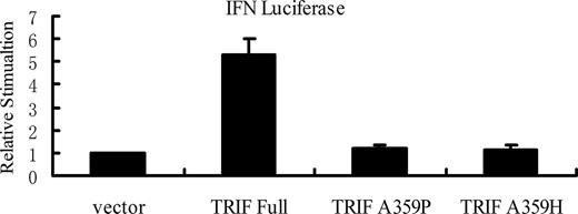 FIGURE 4. Mutation analysis of TRIF in activation of IFN promoter. HEK293T cells were transfected with the empty vector, full length TRIF, TRIF TIR A359P, or TRIF TIR A359H, together with IFN promoter luciferase reporter vector vs control β-galactosidase expression vector.
