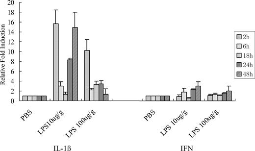 FIGURE 10. Quantification of mRNA expression upon LPS induction. Two concentrations of LPS, 10 and 100 mugg/g were separately i.p. injected into adult zebrafish at five time points (2, 6, 18, 24, and 48h). Total RNA was extracted by Trizol and RT into the first strand cDNA. The mRNA expression of IL-1β and IFN were analyzed by quantification PCR approach.