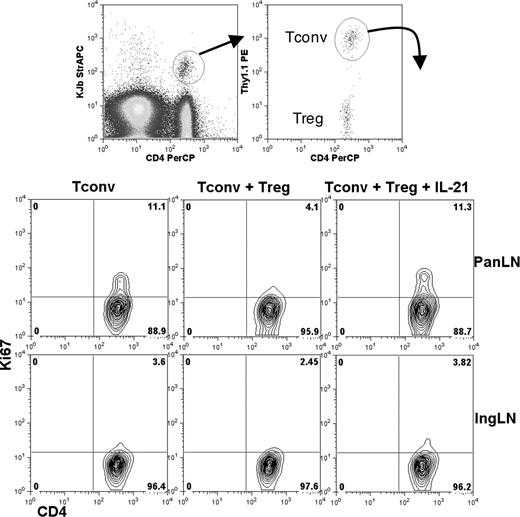 FIGURE 6. IL-21 counteracts Treg suppression in vivo. Rip-mOVA mice were injected with 1.5 × 106 Thy1.1+ DO11 T cells alone or with an equivalent number of Thy1.2+ DO11 Treg. Where indicated, mice received daily i.p. injections of 1 μg of IL-21. Four days later, recipient mice were killed and the proliferation of DO11+Thy1.1+ T cells was assessed by Ki67 staining. Injected OVA-specific cells were identified by KJ126+ staining then further subdivided on the basis of Thy1.1 staining to distinguish conventional (Thy1.1+) from regulatory (Thy1.1−) cells. Each plot shows pooled lymphocytes from two recipient mice.