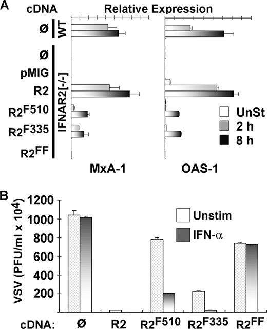 FIGURE 6. Evaluation of mutant IFNAR2 biological function. A, IFN-αA/D (1000 U/ml)-dependent expression of MxA-1 and OAS-1 was evaluated by Q-PCR in WT and IFNAR2[−/−] MEFs from Fig. 4, as outlined in Fig. 1. This analysis is representative of three independent experiments. B, The antiviral response of MEFs in Fig. 4 was determined by viral yield assay, as in Fig. 1. The analysis is representative of three independent experiments.