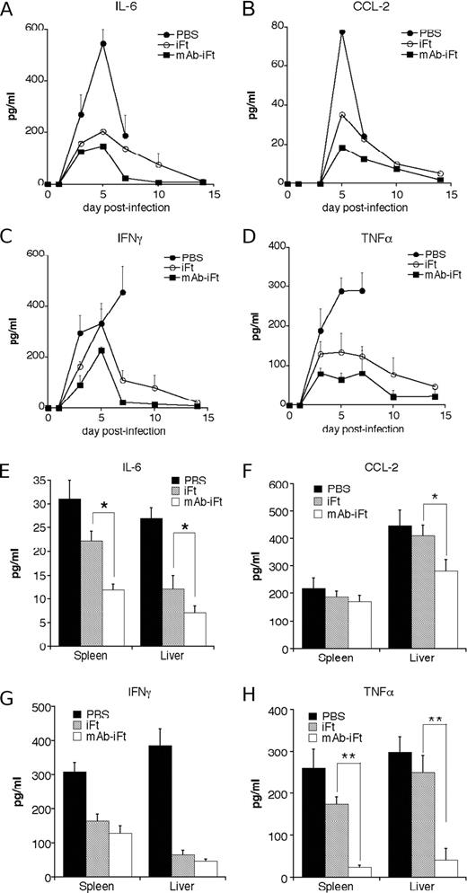 FIGURE 4. Inflammatory cytokine levels are reduced in the lungs of mAb-iFt- vs iFt-immunized mice. IL-6, CCL2, IFN-γ, and TNF-α were measured after immunization and challenge, as described in Fig. 1. Specifically, mice were immunized i.n. with mAb-iFt vs iFt on day 0, boosted on day 21, and then challenged on day 35 with 2 × 104 CFU of live F. tularensis LVS. Mice were then sacrificed at varying time points postchallenge (A–D) or on day 7 postchallenge (E–H), at which point the lungs, spleen, and livers were obtained and homogenized, and then supernatants from the homogenized tissues were analyzed by CBA analysis. Data represent the average of 4–6 BALB/c mice/treatment group ± SD. ∗, p < 0.05; ∗∗, p < 0.01. On day 7, IL-6, CCL2, and TNF-α levels in tissues from mAb-iFt-treated mice were significantly lower than those of iFt-treated mice (p < 0.05). These data are representative of two independent experiments.