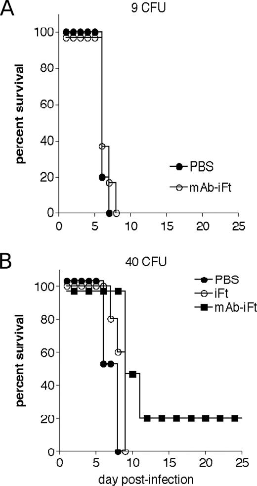 FIGURE 10. Evidence for immune memory involvement in mAb-iFt-mediated protection. C57BL/6 mice were divided into three groups and immunized i.n. with 20 μl of PBS, 20 μl of 2 × 107 organisms (iFt), or 20 μl of 2 × 107 organisms (mAb-iFt). As in Fig. 9, mAb-iFt was made using 5 μg/ml mAb. A, Mice were immunized on day 0 and then challenged with 9 CFU of F. tularensis SchuS4 14 days after primary immunization and then monitored for survival. B, Mice were immunized as above on days 0, 14, and 28 and then challenged on day 70 i.n. with 40 CFU (∼20–40 × LD50) of live F. tularensis SchuS4, and subsequently monitored for survival. Survival curves are presented. For the mAb-iFt group vs PBS and iFt groups in B, p < 0.1.