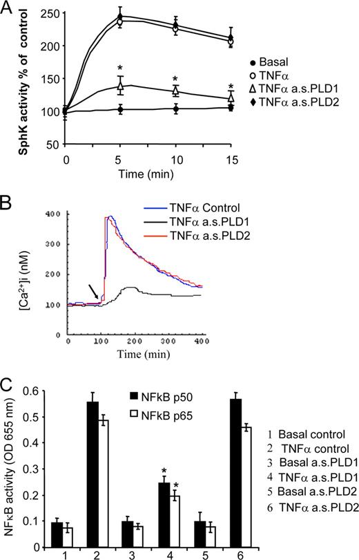 FIGURE 3. Coupling of TNF-α to downstream intracellular signaling pathways requires PLD1 and not PLD2. A, TNF-α-induced sphingosine kinase activity is dependent on PLD1. Following TNF-α (10 ng/ml) stimulation, cells were harvested at given time points indicated in the figure to measure sphingosine kinase activity. Sphingosine kinase activity was assayed from basal control cells (Basal control), following TNF-α stimulation in control cells (TNF-α) and in cells pretreated with antisense oligonucleotides (10 μM) for either PLD1 (TNF-α a.s.PLD1) or PLD2 (TNF-α a.s.PLD2). Results are the mean ± SD of triplicate measurements and from three separate experiments and Student’s t test p values (∗, p < 0.01). B, Intracellular cytosolic calcium changes following TNF-α stimulation: responses were compared in control cells and cells pretreated with antisense oligonucleotides (10 μM) to either PLD1 or PLD2. Traces shown are: blue, control cells treated with TNF-α 10 ng/ml (TNF-α Control); black, cells pretreated with antisense to PLD1 (TNF-α a.s.PLD1); and red, cells pretreated with antisense to PLD2 (TNF-α a.s.PLD2). The arrow marks the addition of TNF-α. Traces are typical from three separate experiments. C, TNF-α triggered p50 and p65 NFκB activity; p50 and p65-NFκB activity was measured in resting cells (Basal) or following TNF-α 10 ng/ml stimulation for 30 min in cells pretreated or not with antisense oligos: 1-Basal (Basal control); 2-TNF-α stimulation (TNF-α control); 3-Basal in cells pretreated with a.s.PLD1 (Basal a.s.PLD1); 4-TNF-α stimulation in cells pretreated with a.s.PLD1 (TNF-α a.s.PLD1); 5-Basal in cells pretreated with a.s.PLD2 (Basal a.s.PLD2); and 6-TNF-α stimulation in cells pretreated with a.s.PLD2 (TNF-α a.s.PLD2). Results are the mean ± SD of triplicate measurements from three separate experiments and Student’s t test p values (∗, p < 0.01).