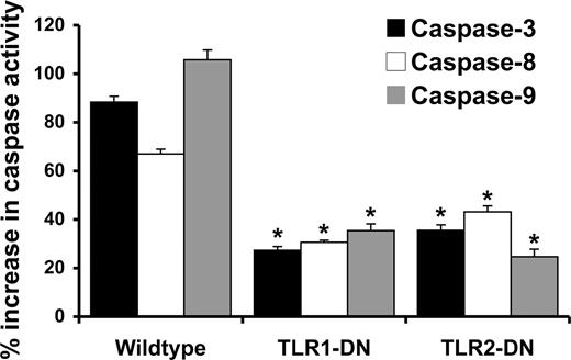 FIGURE 4. Expression of TLR1-DN or TLR2-DN inhibits PDG activation of the caspase pathway. Wild-type or the trophoblast cell lines stably transfected with either TLR1-DN or TLR2-DN were incubated with either no treatment or PDG at 40 μg/ml for 48 h, after which cell lysates were prepared and caspase 3, caspase 8, and caspase 9 activities were determined. Bar graph, The percent increase in caspase activity induced by PDG relative to the untreated control. Expression of either the TLR1-DN or TLR2-DN significantly reduced PDG-induced activation of caspase 3, caspase 8, and caspase 9 when compared with the response of the wild-type cells (*, p < 0.001).