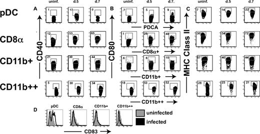 FIGURE 2. Several subsets of DC subsets are activated during T. gondii infection. The activation status of pDCs (top row), CD8α (second row), CD11b intermediate (third row), ad Cd11bhigh DCs are evaluated in uninfected (left panel), day 5 (center panel), and day 7 populations (right panel) postinfection with T. gondii. A, CD40 is up-regulated in pDC, CD8α, and CD11bhigh populations by day 5. pDCs quickly become CD40low by day 7 while the three other populations continue to up-regulate the costimulatory molecule. B, CD80 is highly up-regulated in all four populations after infection. C, MHC class II is up-regulated in pDC and CD8α populations by 5 days postinfection while the CD11b populations do not change their MHC class II profiles. D, CD83 is up-regulates on pDCs only. uninf., Uninfected.