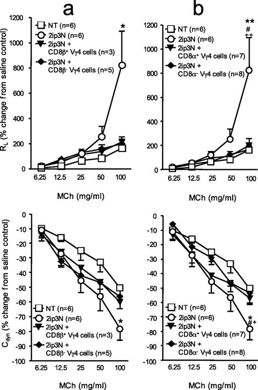 FIGURE 2. AHR in γδ T cell-deficient recipients reconstituted with CD8-selected Vγ4+ cells after systemic sensitization and airway challenge with OVA (2ip3N protocol). Lung resistance (RL) and dynamic compliance (Cdyn) as percentage changes from saline controls in relation to increasing doses of aerosolized MCh are shown. Recipients are B6.TCR-Vγ4/6−/− mice and donors are 2ip3N-treated B6.TCR-β−/− or B6 mice. Treatments are as follows: none (NT), systemic sensitization and airway challenge (2ip3N), 2ip3N plus selected purified Vγ4+/CD8β+ (2ip3N + CD8β+ Vγ4 cells), Vγ4+/CD8β− (2ip3N + CD8β− Vγ4 cells), Vγ4+/CD8α+ (2ip3N + CD8α+ Vγ4 cells), or Vγ4+/CD8α− cells (2ip3N + CD8α− Vγ4 cells) from the donors. a, Recipients untreated or treated with 2ip3N or 2ip3N plus selected Vγ4+/CD8β+ or Vγ4+/CD8β− cells from B6.TCR-β−/− donors (∗, nontreated compared with 2ip3N). b, Recipients untreated or treated with 2ip3N or 2ip3N plus selected Vγ4+/CD8α+ or Vγ4+/CD8α− cells from B6 donors (∗, nontreated compared with 2ip3N; #, 2ip3N compared with 2ip3N plus CD8α+ Vγ4 cells; +, 2ip3N compared with 2ip3N plus CD8α− Vγ4 cells). One symbol (∗, #, or +) = p < 0.05; two symbols = p < 0.01.
