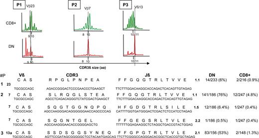 FIGURE 6. CDR3 sequence analysis of selected TCR Vβ transcripts of dominant clonotypes between CD8+ T cells and DN T cells. Selected TCR transcripts were cloned and the resulting DNA clones were subsequently analyzed for CDR3 sequences using corresponding Vβ and Jβ primers. For each selected clonotype, the frequency of CDR3 sequences in DN and SP CD8+ T cells is indicated.