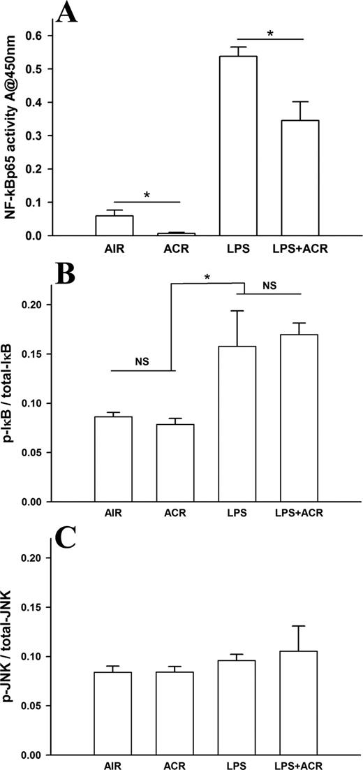 FIGURE 7. Effect of acrolein exposure on activation NF-κB and JNK. C57BL/6J mice received intratracheal LPS and were immediately exposed to either 5 ppm acrolein or room air for 6 h, and euthanized. Lung tissues were collected for analysis of NF-κB p65 activity (A) and for phosphorylation status of IκBα (B) and JNK (C), as described in the Materials and Methods section. Results are expressed as mean ± SEM (n = 5–6). ∗, p < 0.05.